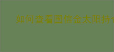 如何查看国信金太阳持仓