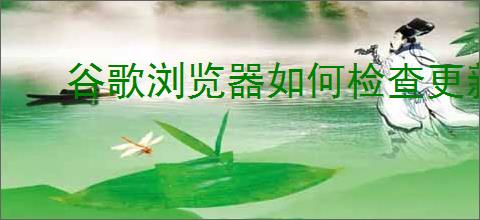 谷歌浏览器如何检查更新